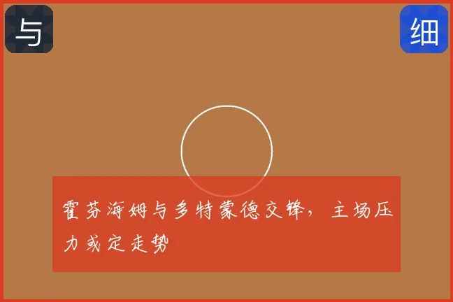 霍芬海姆与多特蒙德交锋，主场压力或定走势